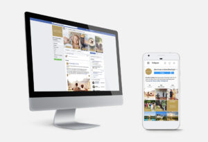 Eine Ansicht der Facebook- sowie der Instagram-Seite der etwas anderen Theologin